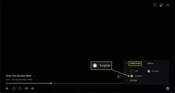 How to Use Hulu Subtitles？