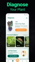Plantum - Plant Identifier