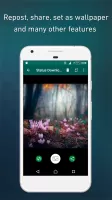 Status Saver Video Downloader