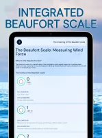 Wind Compass