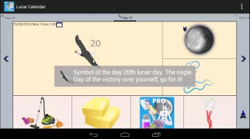 Moon Calendar - Lunar Phases
