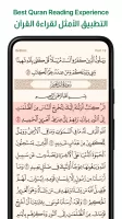 Ayah: Quran App