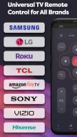 Universal TV Remote Control