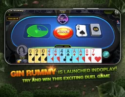 Indoplay-Capsa Domino QQ Poker