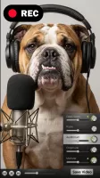 Video Voice Changer FX