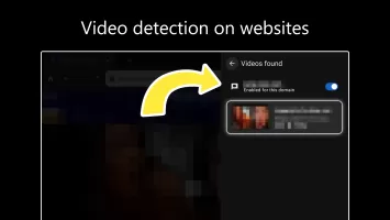 Internet Web Browser - ZEUS