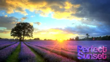 Perfect Sunset Live Wallpaper