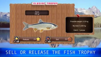 Fish rain: sport fishing