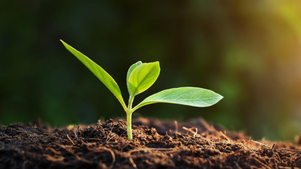 HVACR Check & Charge