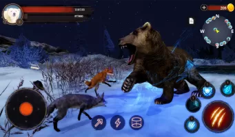 The Bear