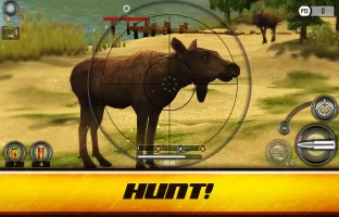 Wild Hunt