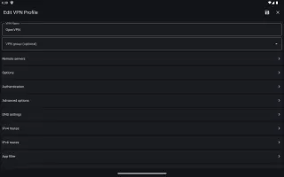 VPN Client Pro