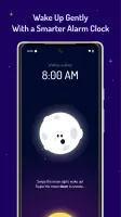 Wakey Alarm Clock