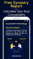 Advanced Numerology Calculator