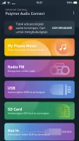 Polytron Audio Connect