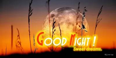 Good Night