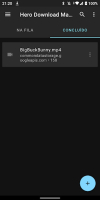 Hero Download Manager