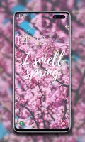 Spring Wallpaper