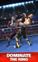 Boxing Ring