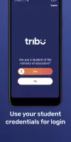 Tribu