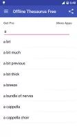 Offline Thesaurus Dictionary