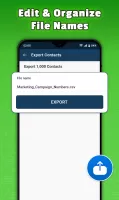 Export Contacts