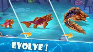 Shark Mania