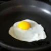 egg