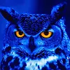 Razzy Owl
