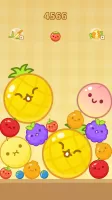Merge Melon