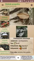 Atlas grzybów
