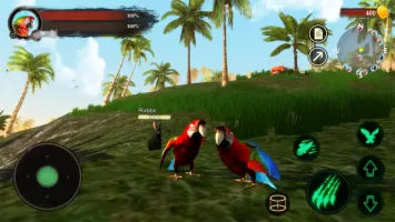 The Parrot