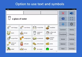Speech Assistant AAC
