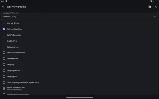 VPN Client Pro
