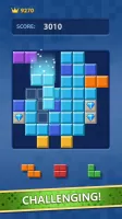 Block Puzzle: Block Smash Game