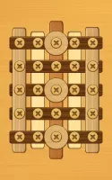 Screw Puzzle