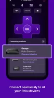 The Roku App (Official)