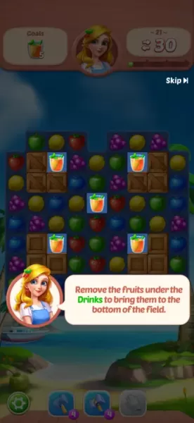 Fruit Diary - Match 3 Games
