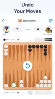 Backgammon - Board Game