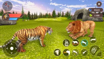 Tiger Simulator