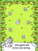 Monkey Evolution