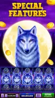 Mega Winner Slots Vegas Casino