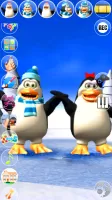 Talking Pengu & Penga Penguin