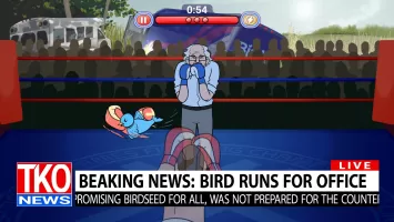 Election Year Knockout