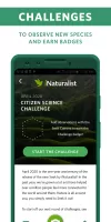 Seek by iNaturalist