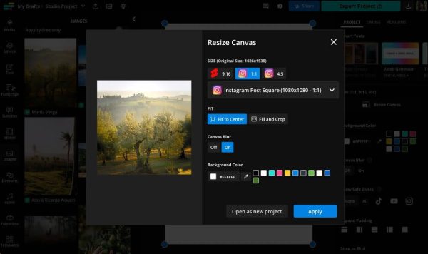 How to Post Long Photos on Instagram?