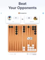 Backgammon - Board Game