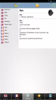 French dictionary