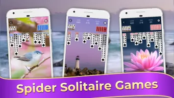 Spider Solitaire Classic Games