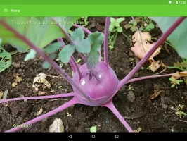 Gardroid - Vegetable Garden